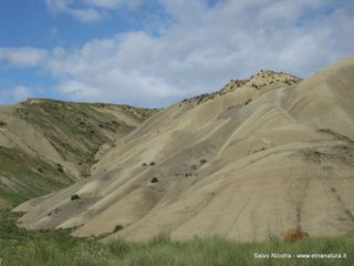 lanchi Cannizzola-03-03-2016 19-53-42